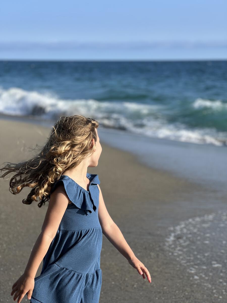 Navy Jenny Dress