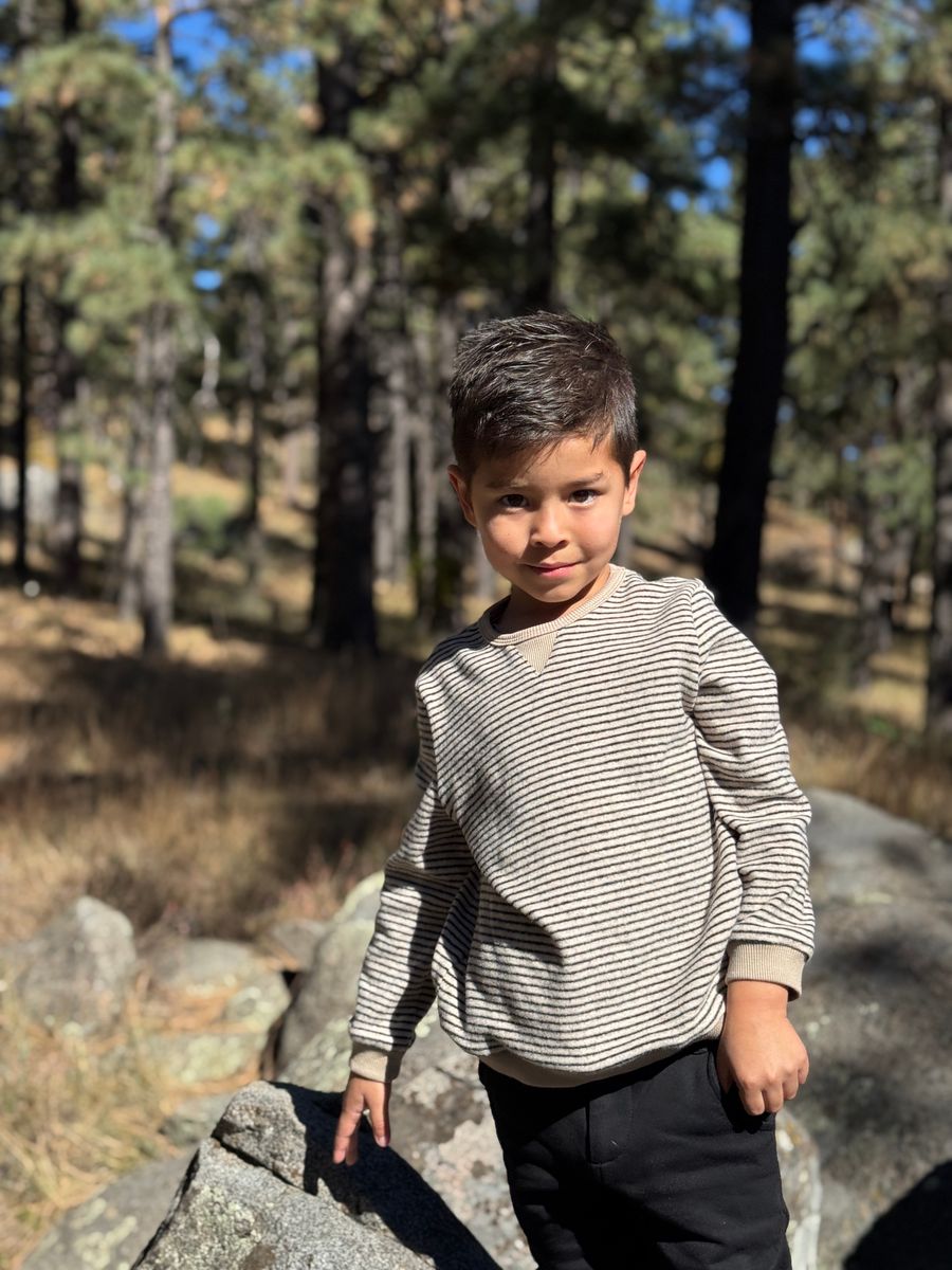 Brushed Stripe Sweatshirt Black Beige