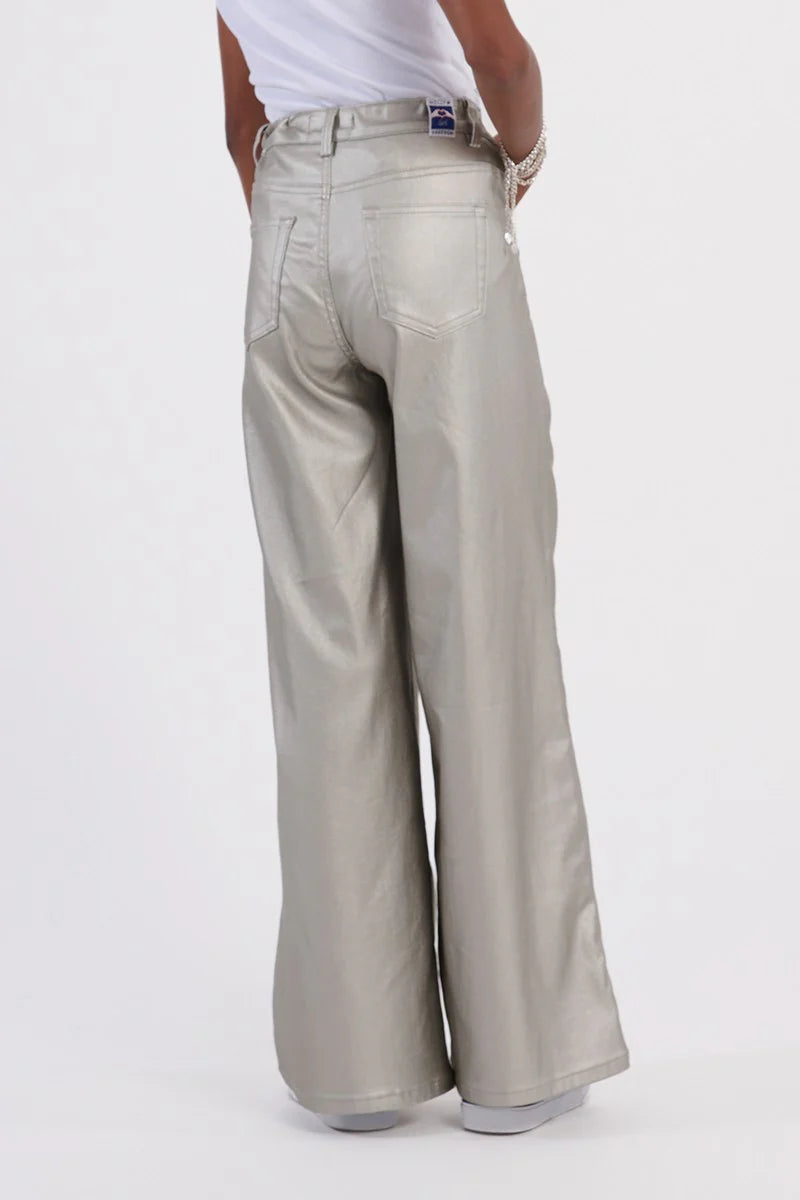 Silver Woven Pant
