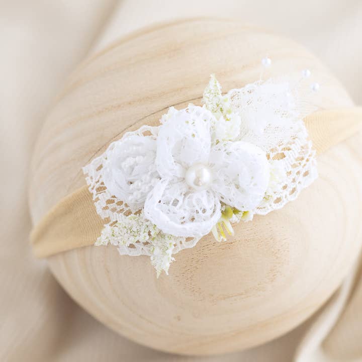 White Lace Flower HB