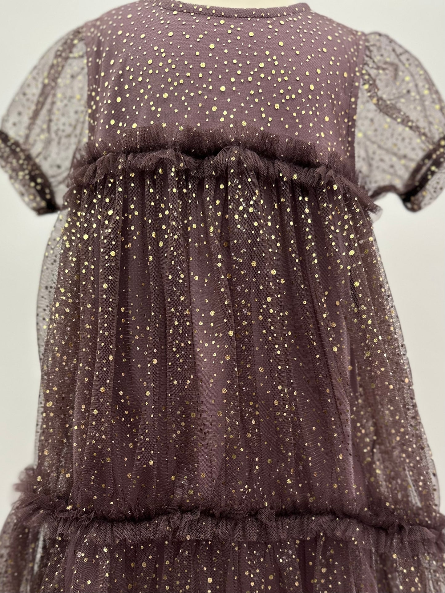Plum Mesh Cap Sleeve Glitter Dress