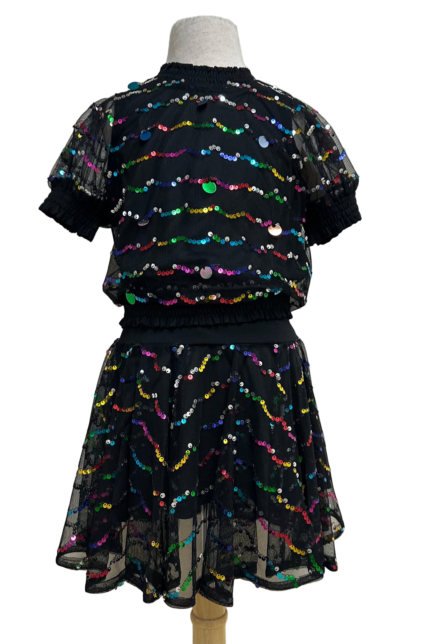 Mesh Skirt with Multi Color Sequin