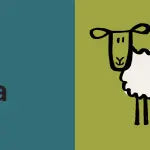 Touch and Feel Farm Book