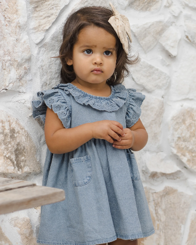 Sophie Chambray Dress