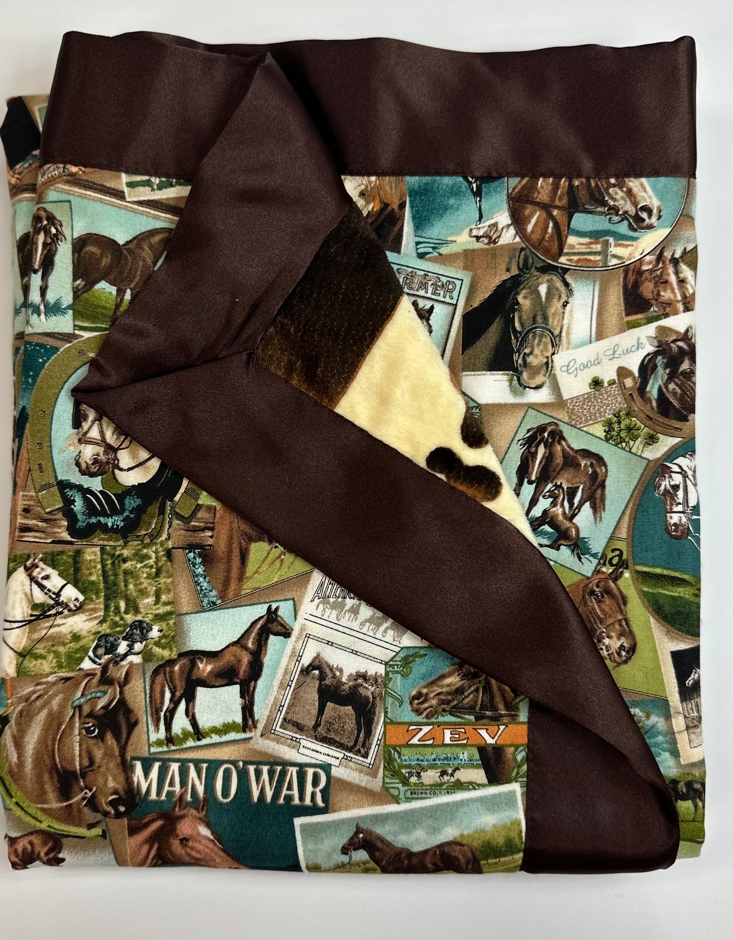 Horse Blanket