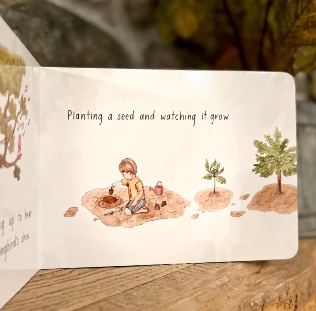 The Little Things Book