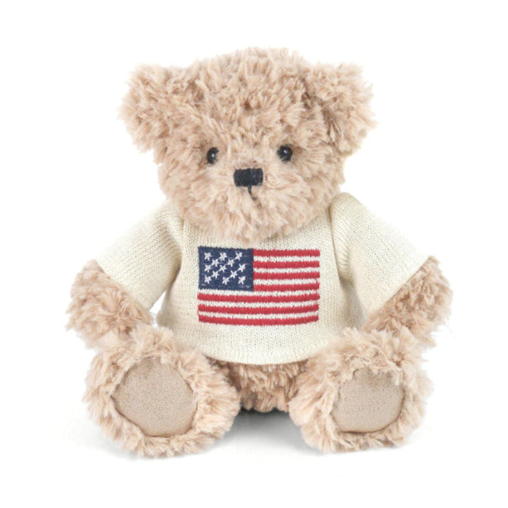 USA Teddy Bear