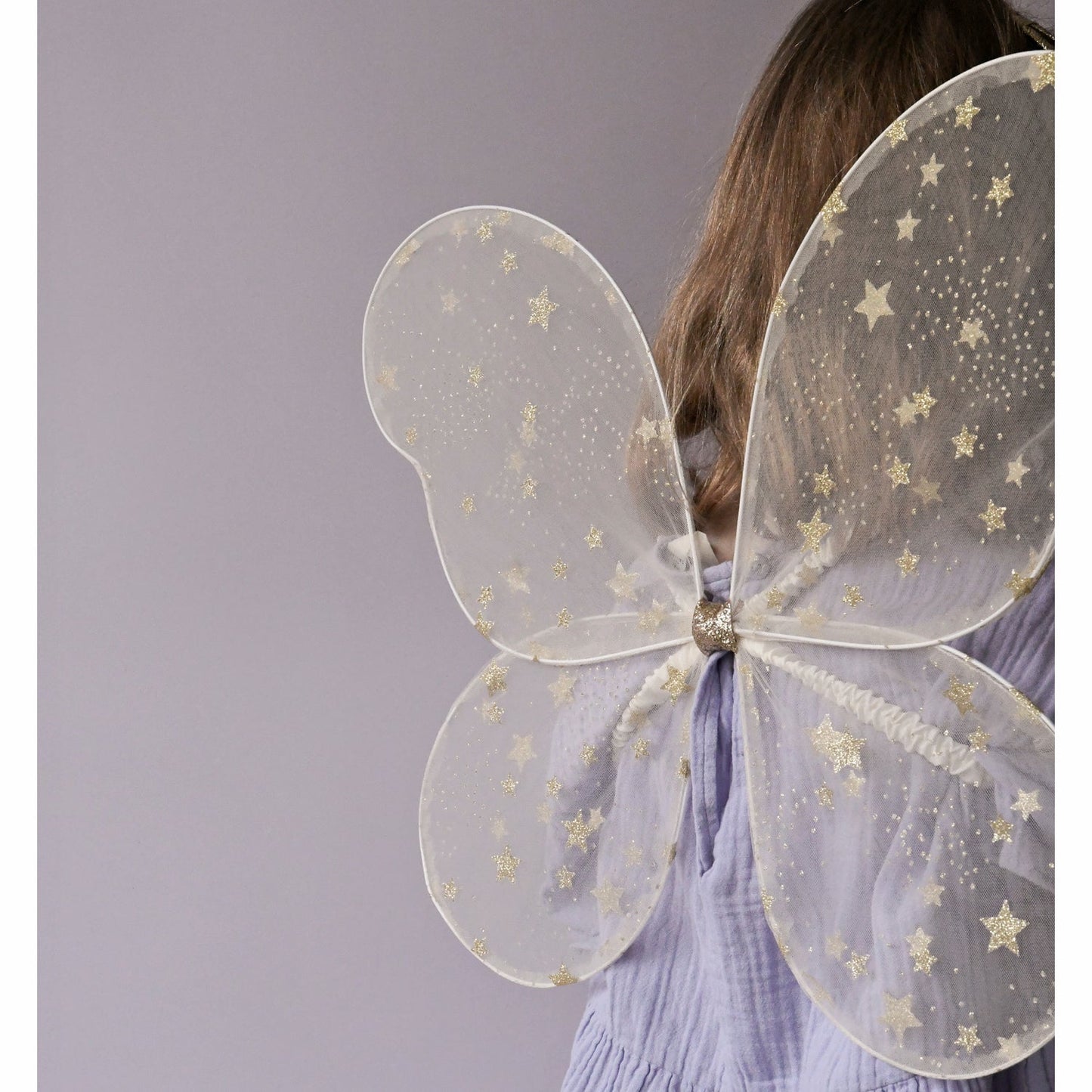 Wish Upon A Star Fairy Wings