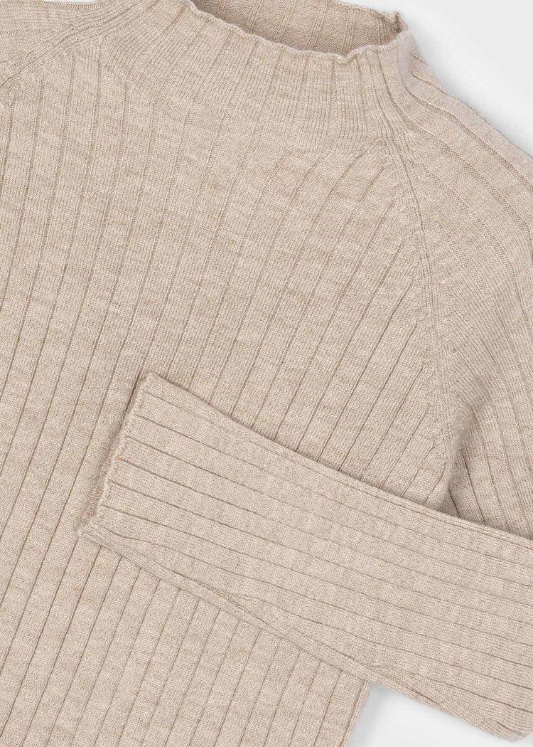 Toffee Rib Turtle Neck