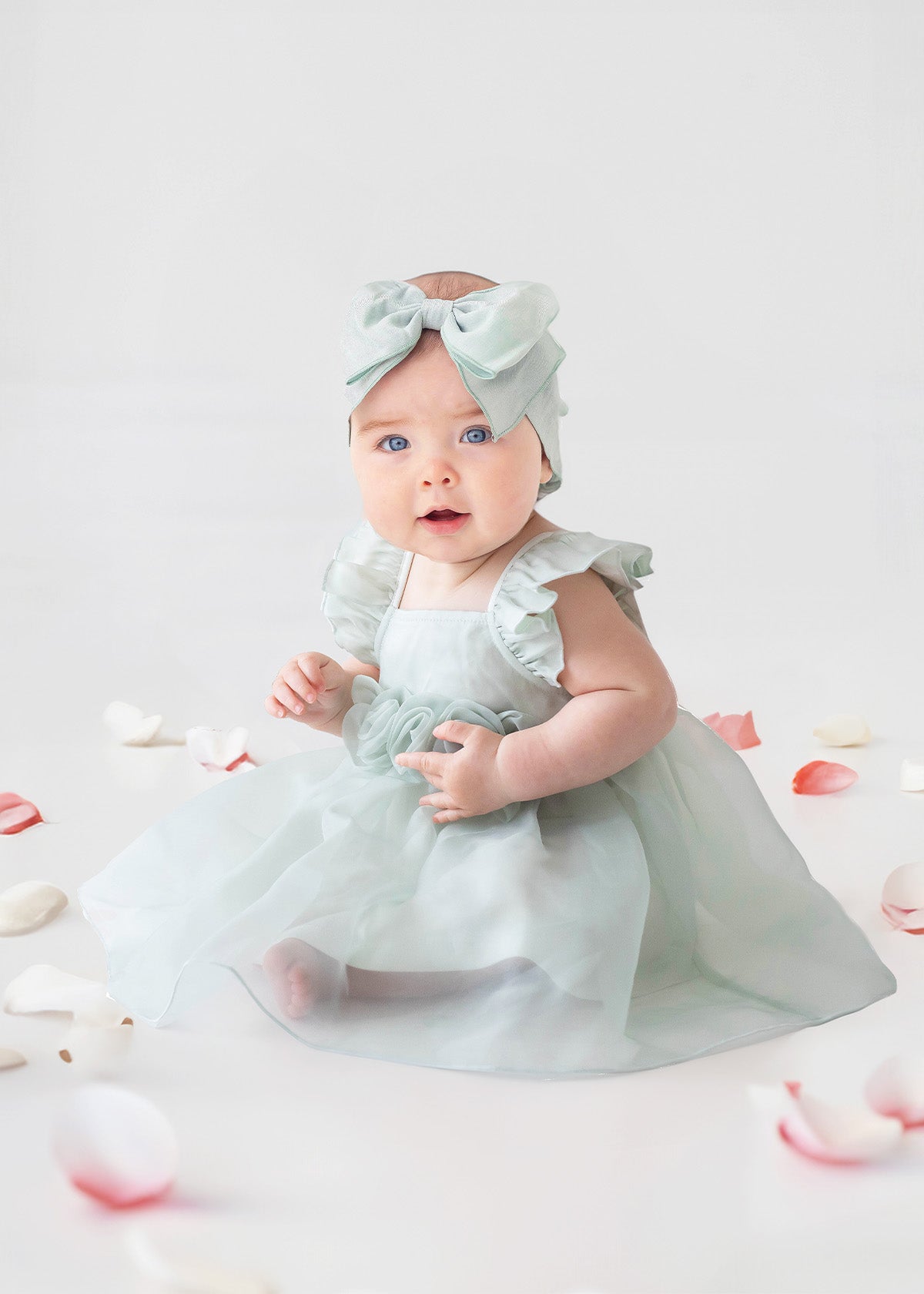 Organza Jade Dress