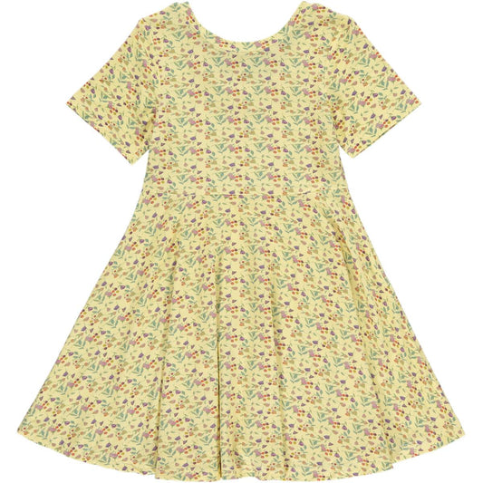 Garden Wildflowers Twirl Dress