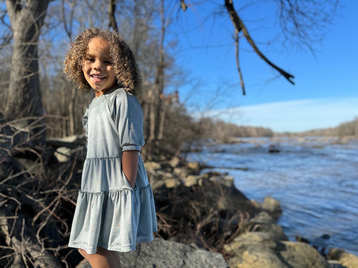 Alice Dress Silver Sage