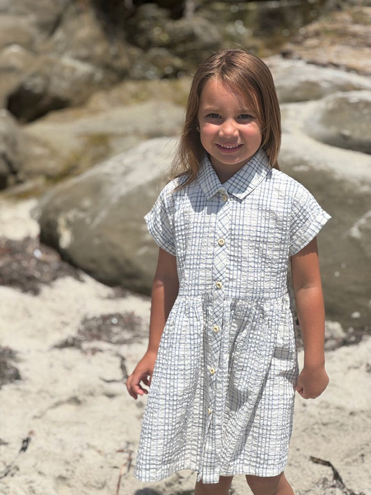 Blue Plaid Heather Dress
