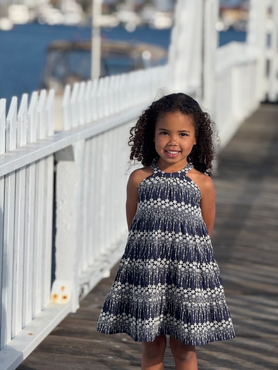 Navy Embroidered Maleia Dress