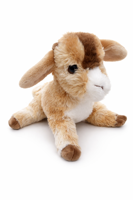 Dandie Soft Goat