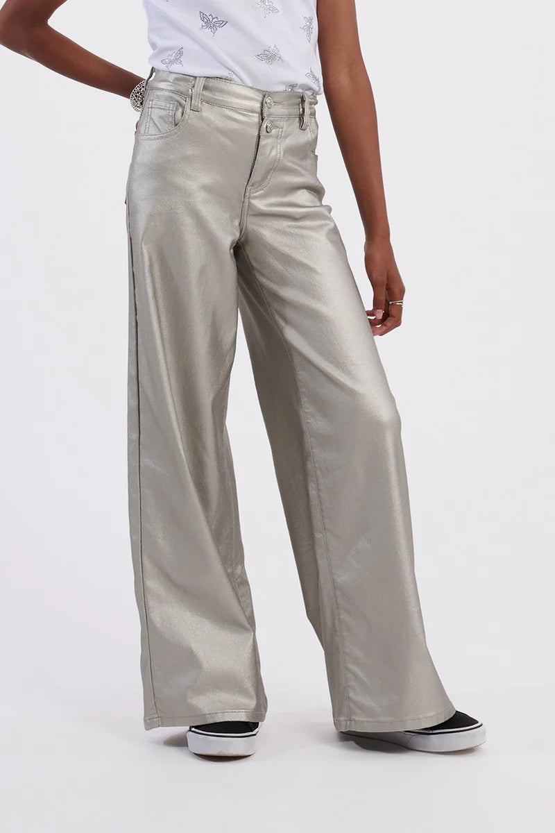 Silver Woven Pant