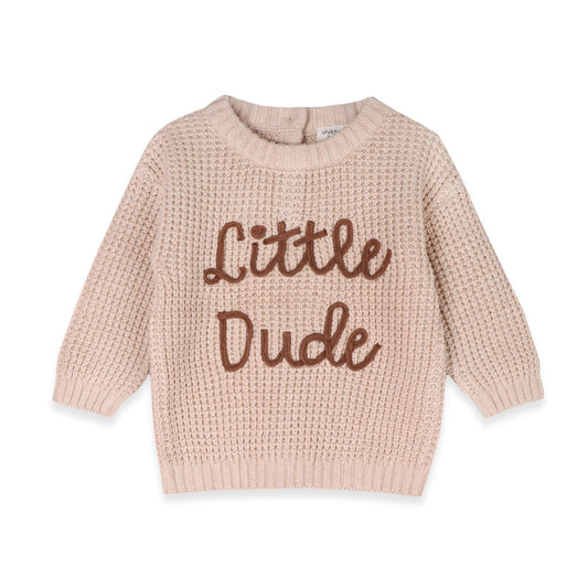 Little Dude Knit Oatmeal Sweater