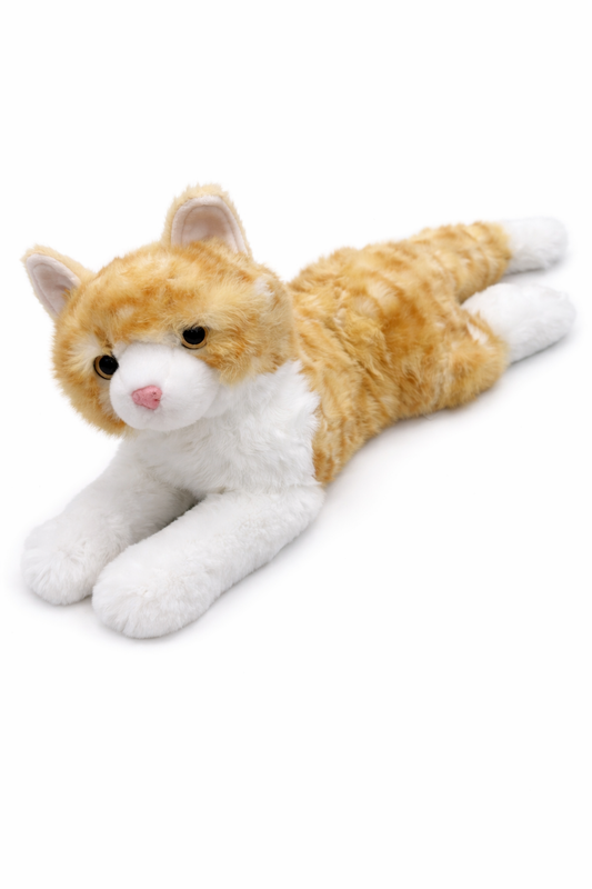 Mango Orange Cat