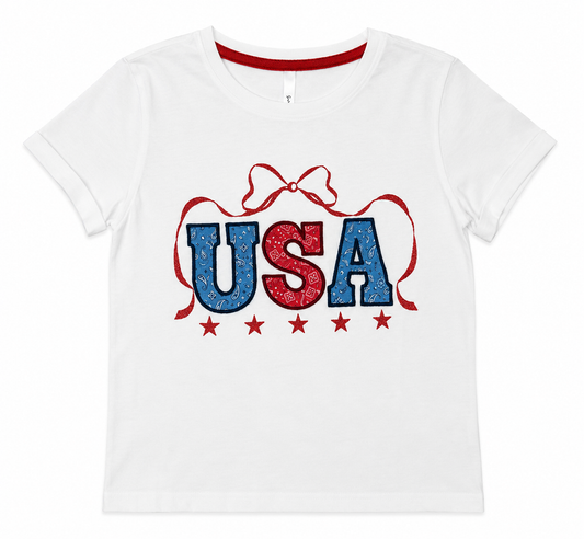 USA Applique with Embroidery T-Shirt