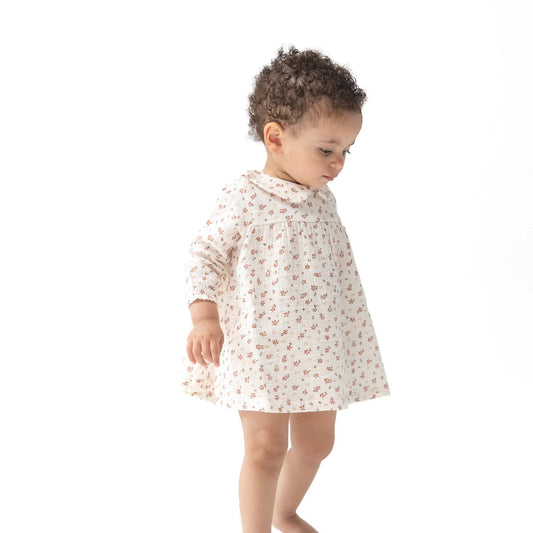 Carrie Floral Peter Pan Dress Set