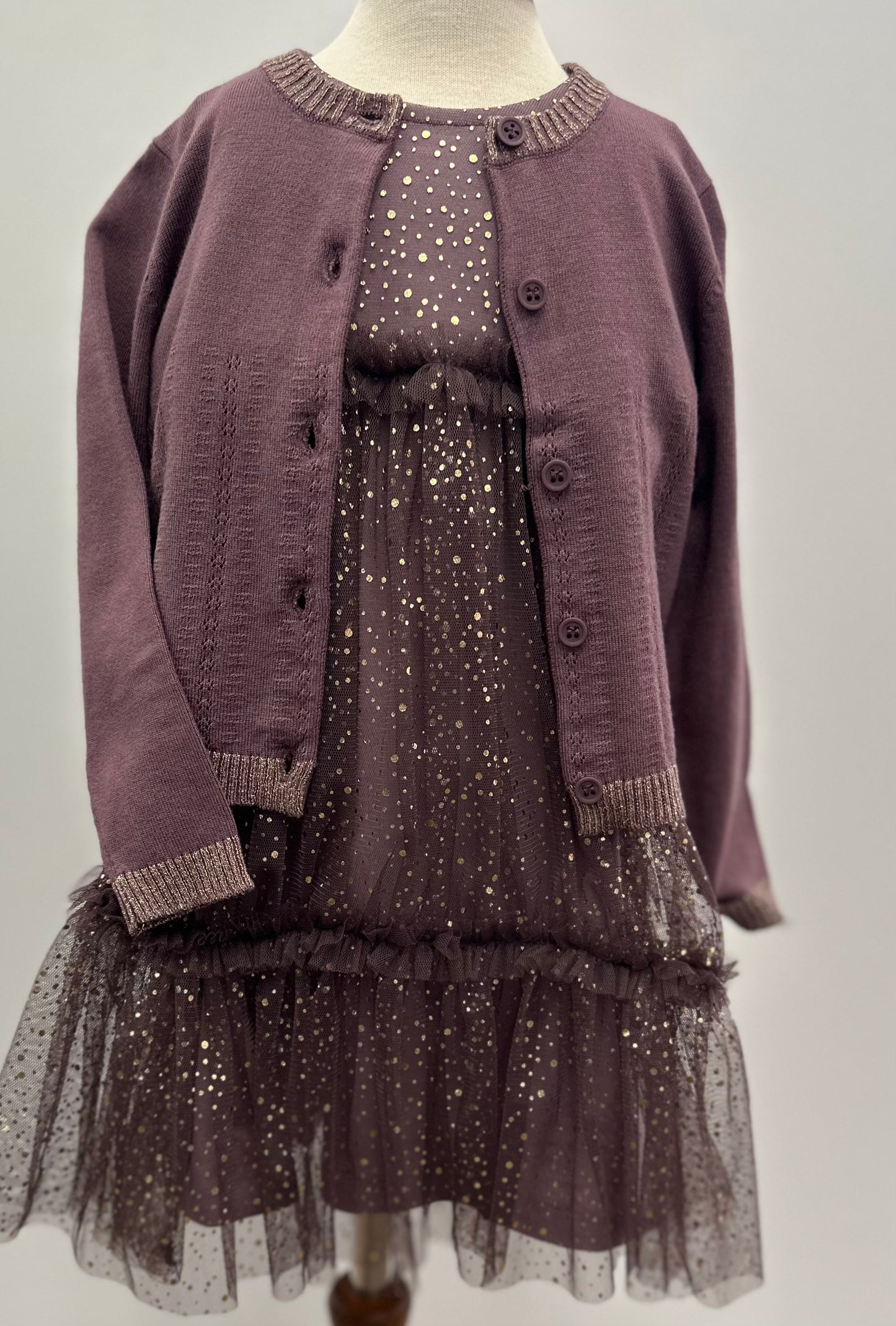 Plum Mesh Cap Sleeve Glitter Dress