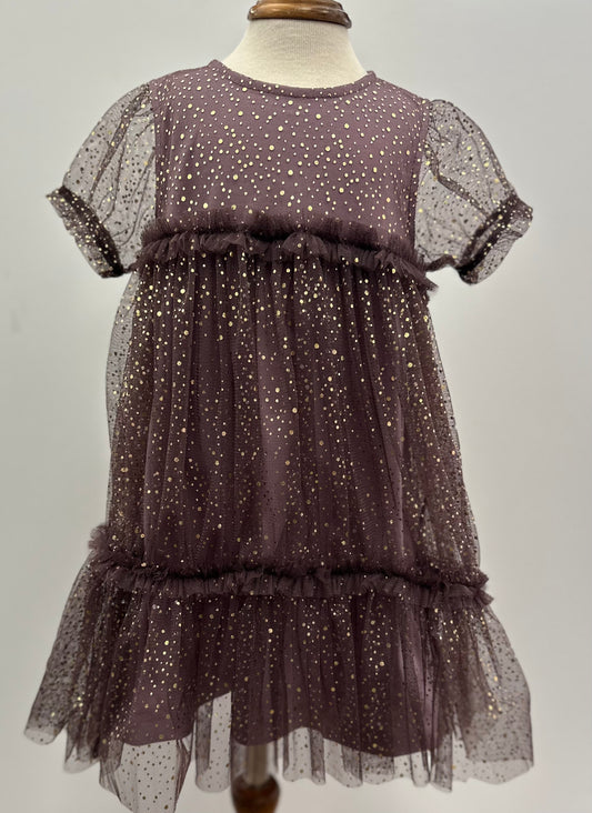 Plum Mesh Cap Sleeve Glitter Dress