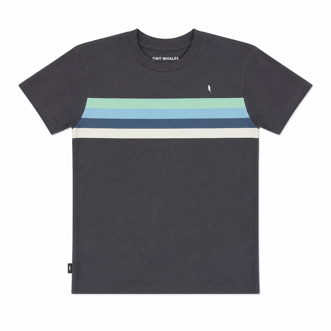The 1976 T-Shirt