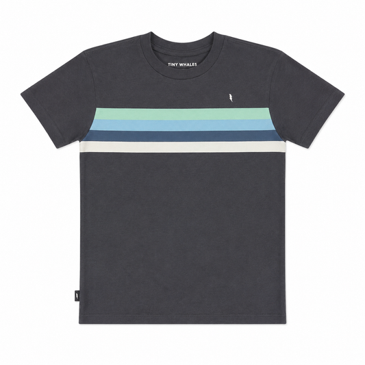 The 1976 T-Shirt