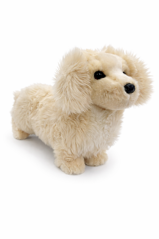 Haisley Golden Dachshund