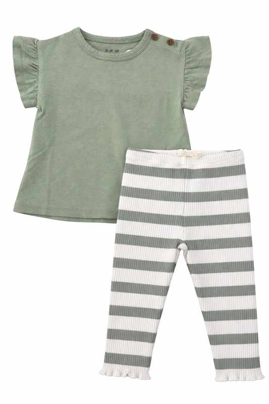 Sage Top with Striped Leggings Organic Set