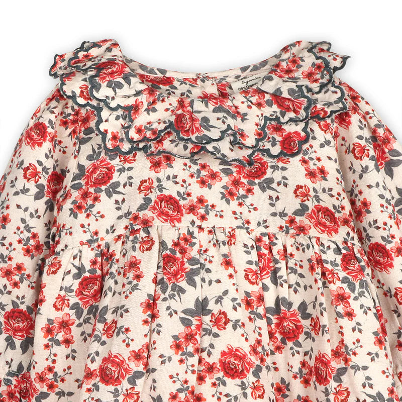 Amour Rose Floral Ruffle Dress and Bloomer