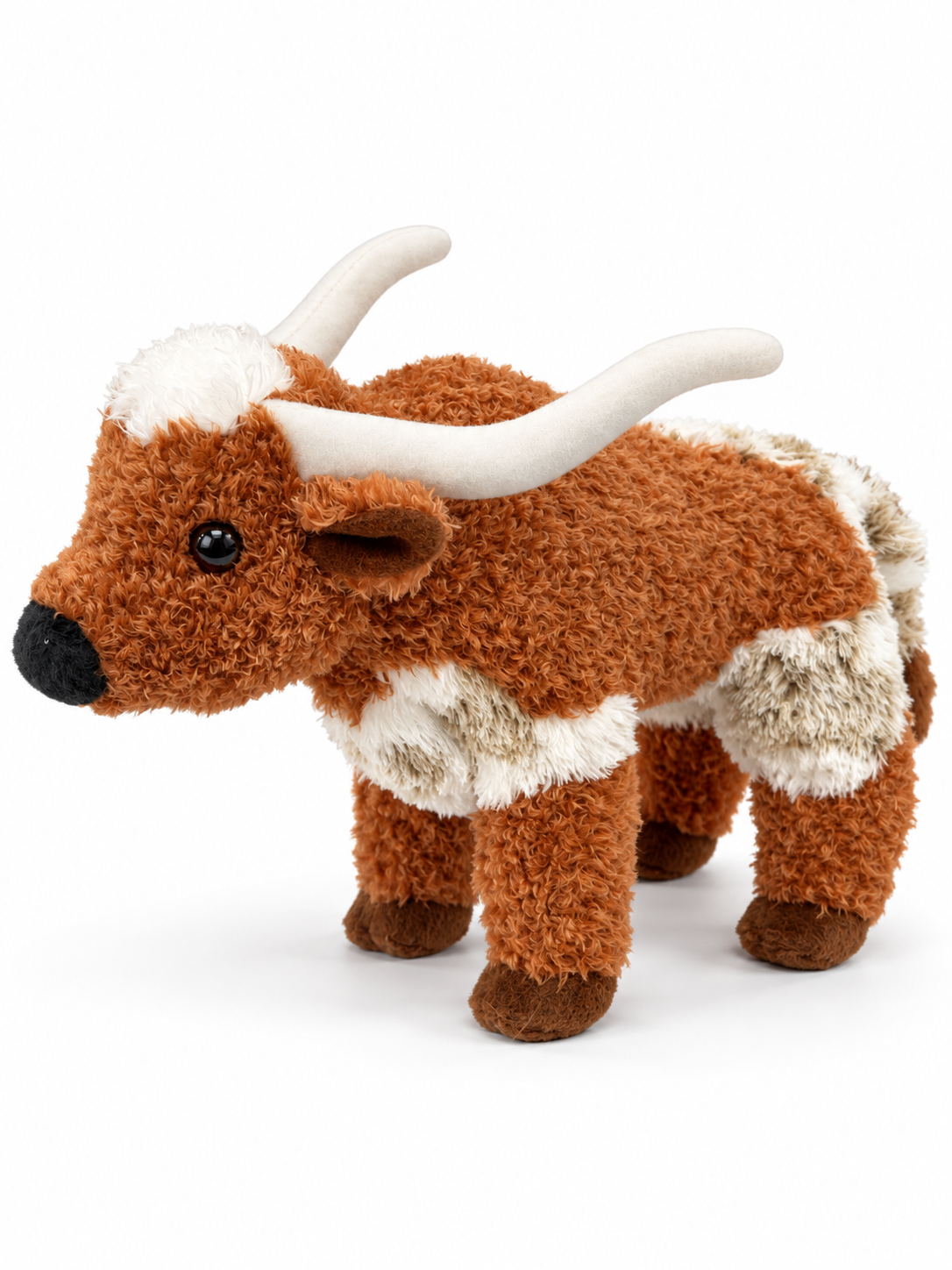 T-bone Longhorn Steer