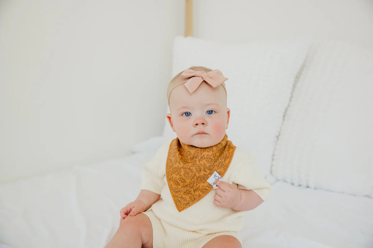 Eden Bandana Bib Set