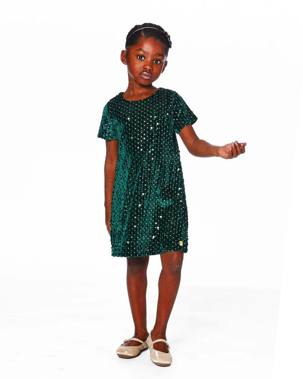 June Bug Forest Velvet Dress