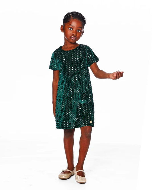 June Bug Forest Velvet Dress