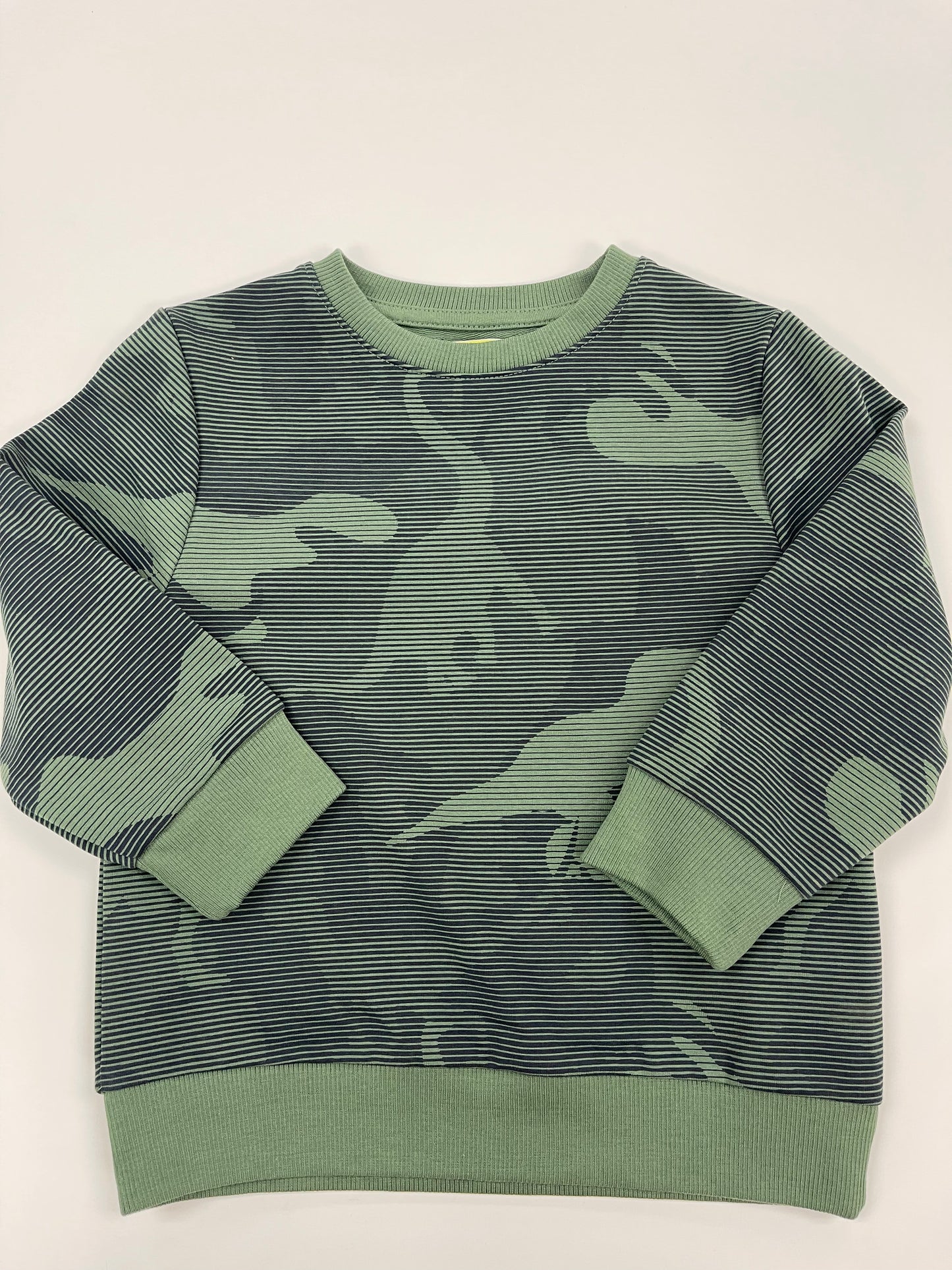 Dino Green Blue Sweatshirt