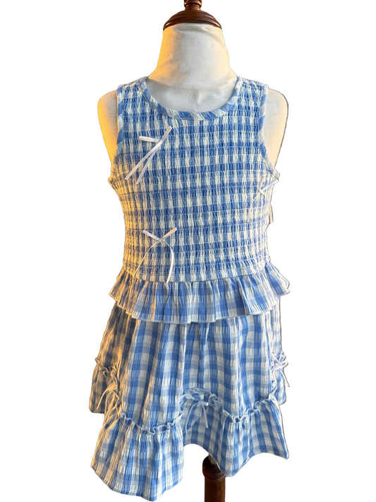 Blue, White Gingham Skirt