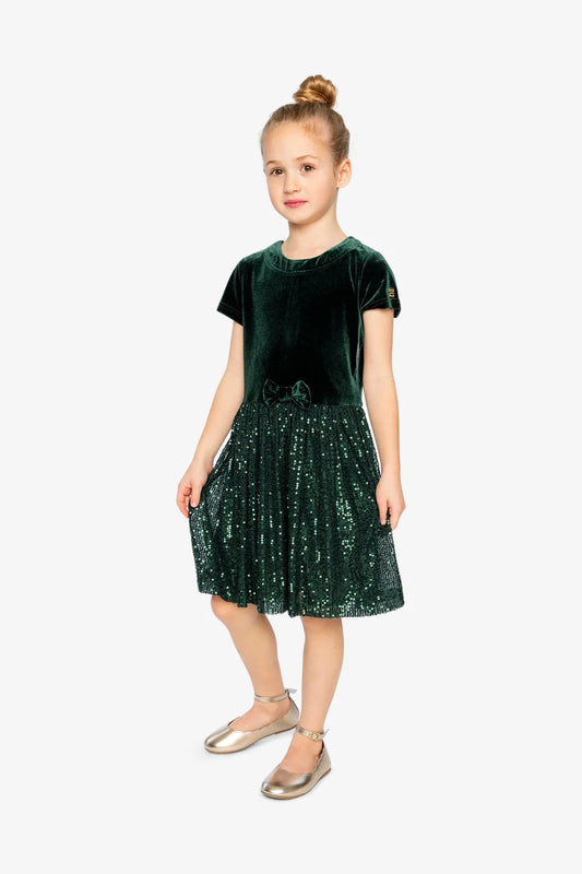 Forest Green Velour Sequin Dress