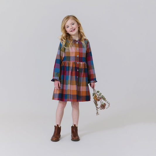 Autumn Harvest Check Dress