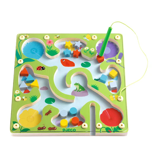 Magnetic Frogy Maze