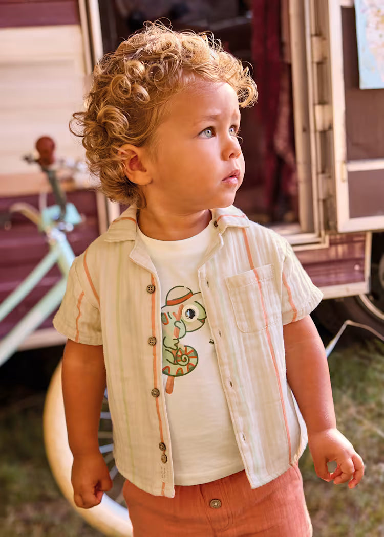 Clay Sage Stripe Shirt