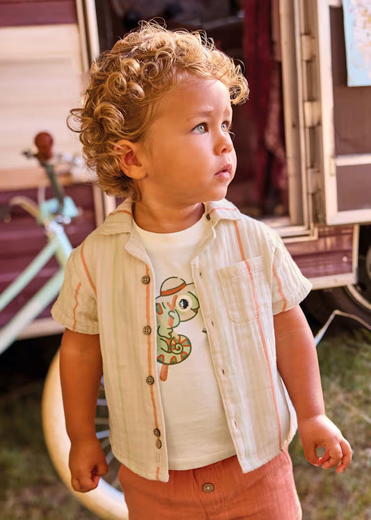 Clay Sage Stripe Shirt