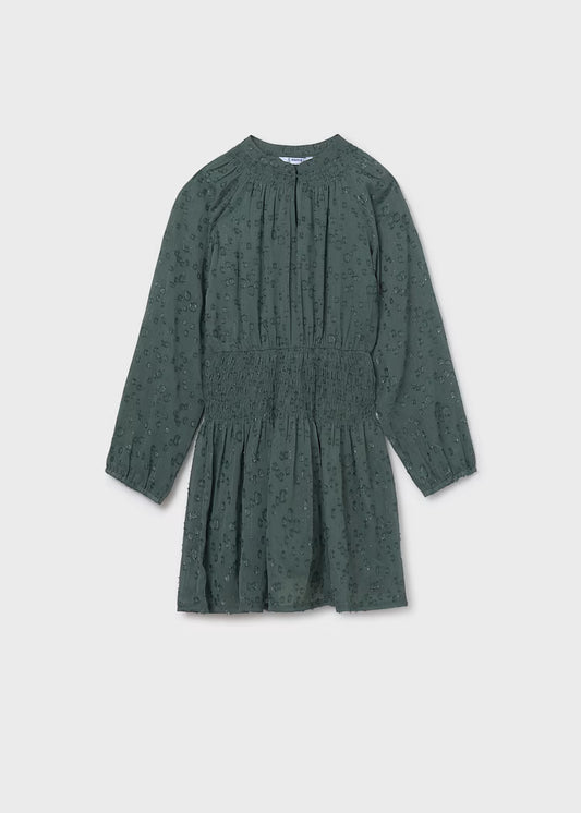 Chiffon Eucalyptus Dress