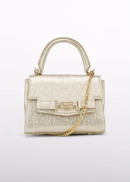 Shiny Gold Texture Purse
