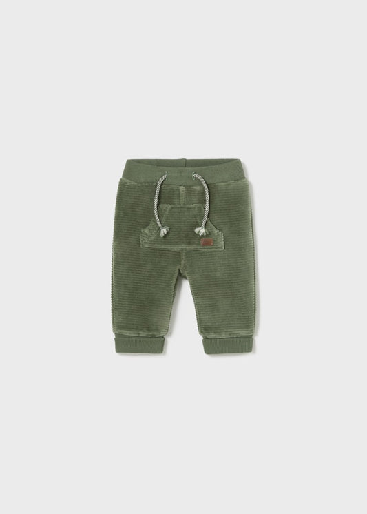 2525 Forest Corduroy Trouser