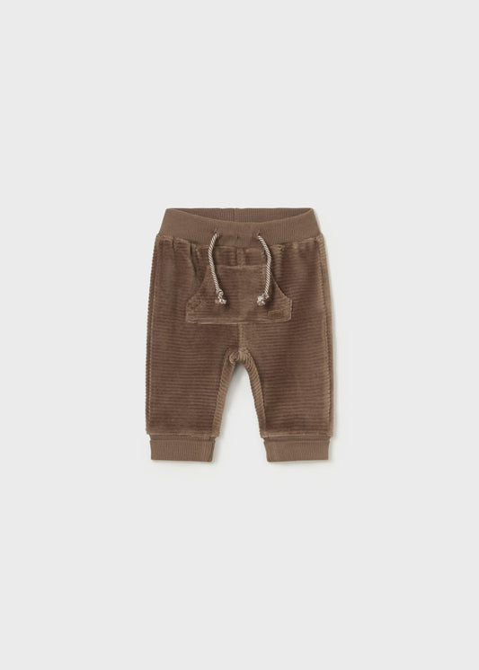 2525 Mocha Corduroy Trouser