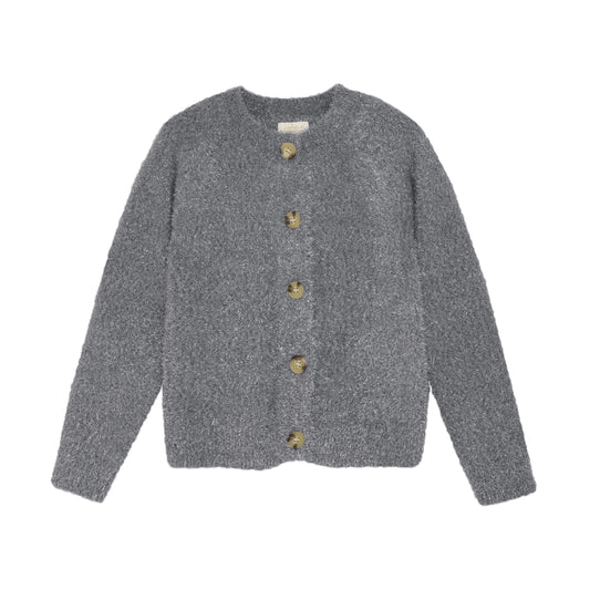 Iron Gate Glitter Knit Cardigan