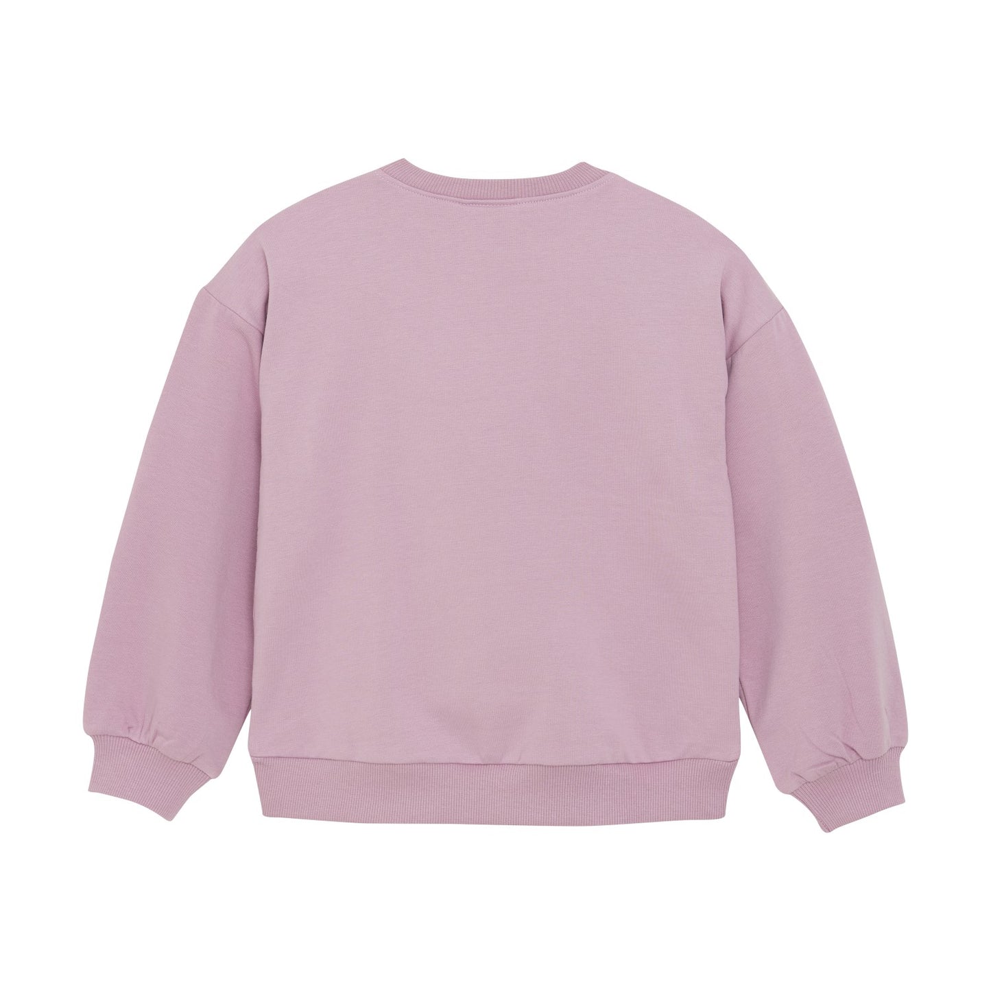 Mauve Sweatshirt with Flower Embroidery