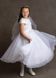 Cap Sleeve Sequin Bodice Bow Tulle Dress